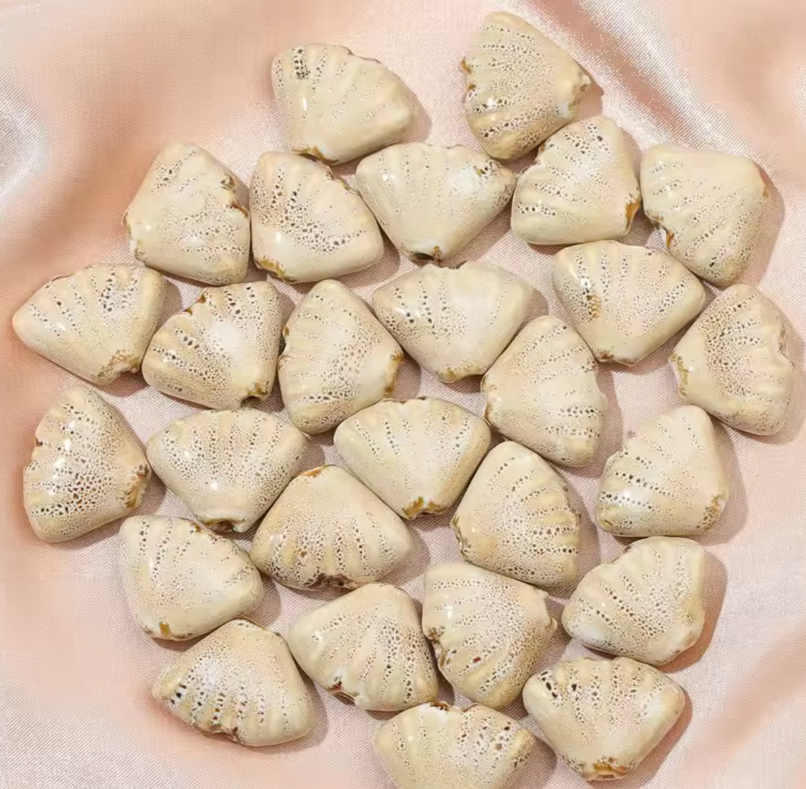 BBB 216 (d) Creamish Brown Fan Shell Porcelian Ceramic bead ( 1 pc ) High Shine ( 18:23 mm )