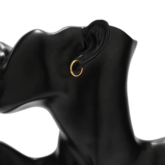 SS 2921 Dainty Hoop 18K Gold plated stainless steel ( 2 pc ) Anti tarnish