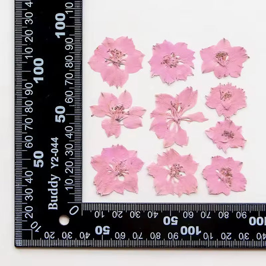 DF 60 Baby Pink Houndstooth Pressed Dried Flower ( 1 pc ) plain dried flower for Resin Art
