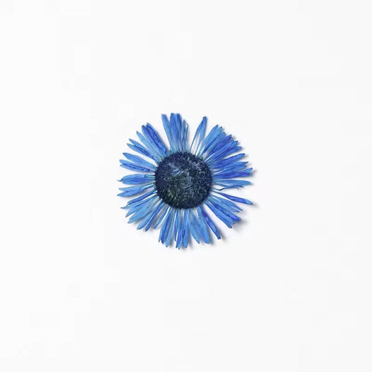 DF 18 Blue Daisy Small Pressed Dried Flower ( 1 pc ) plain dried flower for Resin Art