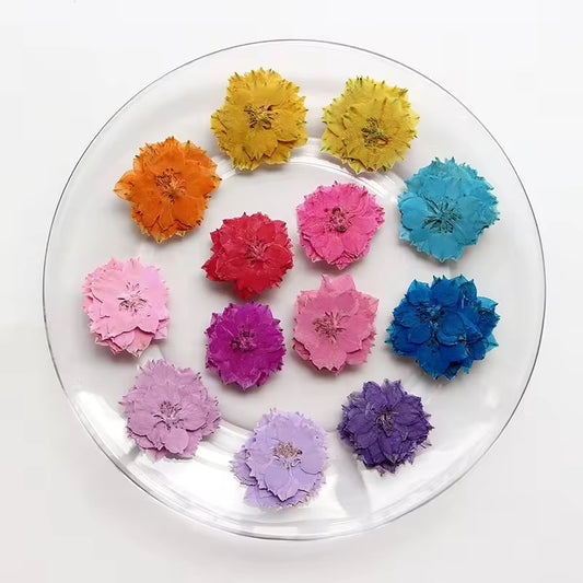 DF 07 Olive Pastel Green Houndstooth Pressed Dried Flower ( 1 pc ) Plain dried flower for Resin Art