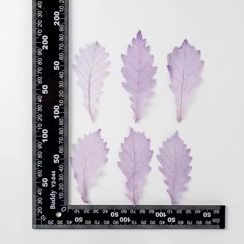 DF 30 Purple Autumn Pressed Dried Leaf ( 1 pc ) Plain dried flower for Resin Art