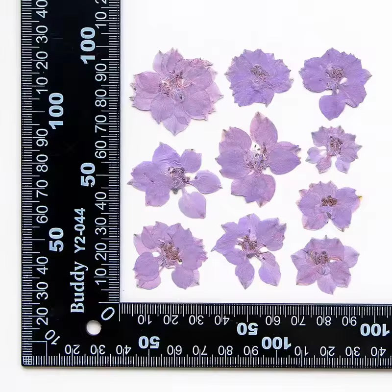DF 59 Light Purple Houndstooth Pressed Dried Flower ( 1 pc ) plain dried flower for Resin Art
