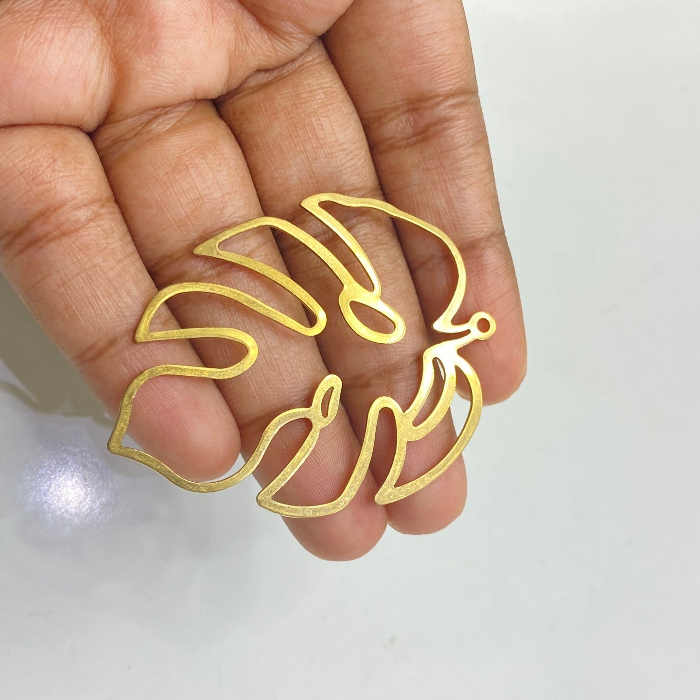 SS 214Hollow monstera big charm