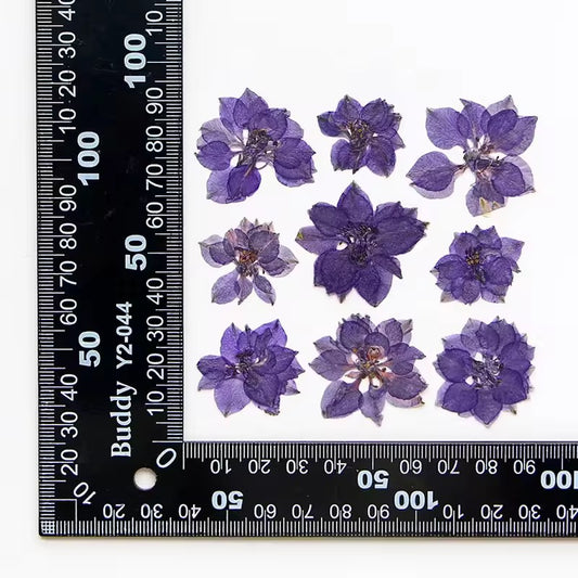 DF 39 Purple Houndstooth Pressed Dried Flower ( 1 pc ) plain dried flower for Resin Art