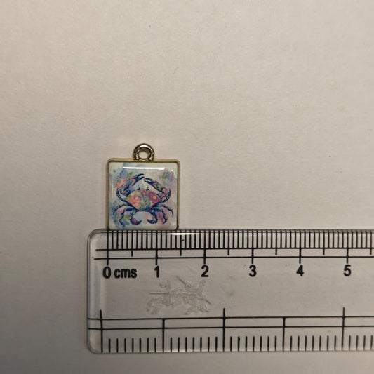 APC01P Square Crab Alloy Printed Charm ( 1 PC )