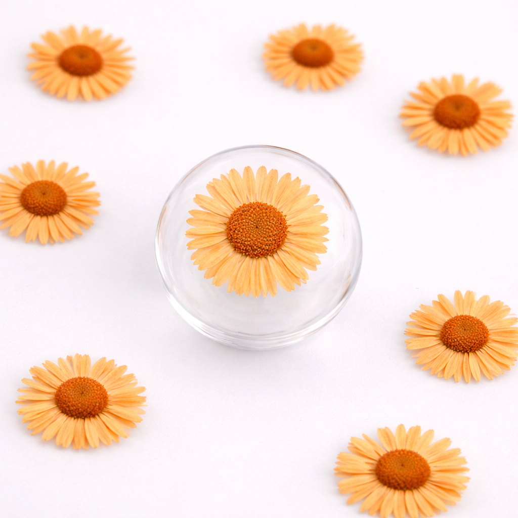 DF 33 Orange Daisy Small Pressed Dried Flower ( 1 pc ) plain dried flower for Resin Art