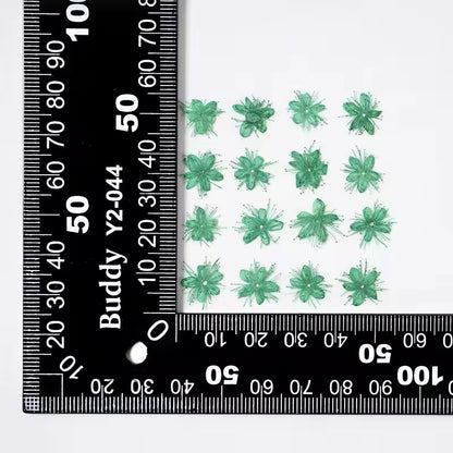 DF 05 Green White Sandalwood Small Pressed Dried Flower ( 1 pc ) Plain dried flower for Resin Art