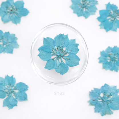 DF 22 Light Blue Houndstooth Pressed Dried Flower ( 1 pc ) plain dried flower for Resin Art
