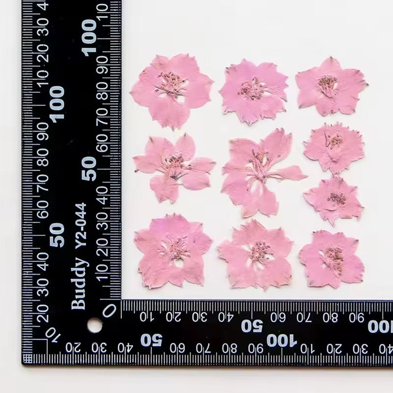 DF 60 Baby Pink Houndstooth Pressed Dried Flower ( 1 pc ) plain dried flower for Resin Art