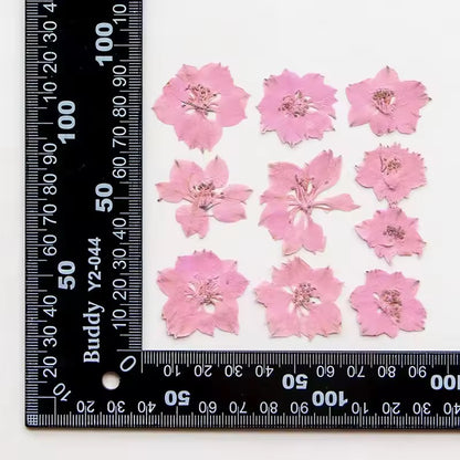DF 60 Baby Pink Houndstooth Pressed Dried Flower ( 1 pc ) plain dried flower for Resin Art