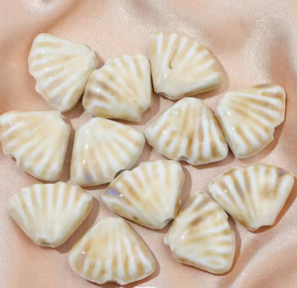 BBB 216 (i) Cream stripe Fan Shell Porcelian Ceramic bead ( 1 pc ) High Shine ( 18:23 mm )