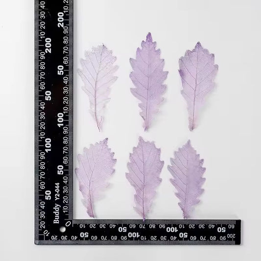 DF 30 Purple Autumn Pressed Dried Leaf ( 1 pc ) Plain dried flower for Resin Art