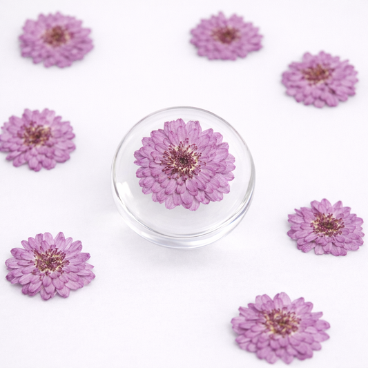 DF 38 Purple Needle Chrysanthemum Pressed Dried Flower ( 1 pc ) plain dried flower for Resin Art