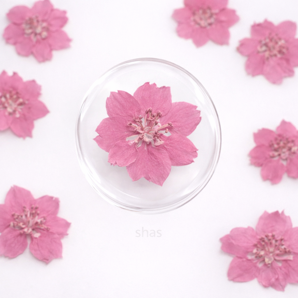 DF 21 Light Pink Houndstooth Pressed Dried Flower ( 1 pc ) plain dried flower for Resin Art