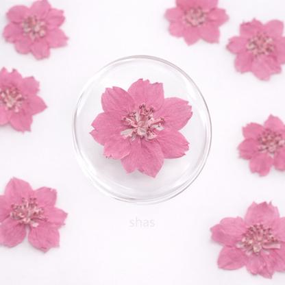 DF 21 Light Pink Houndstooth Pressed Dried Flower ( 1 pc ) plain dried flower for Resin Art