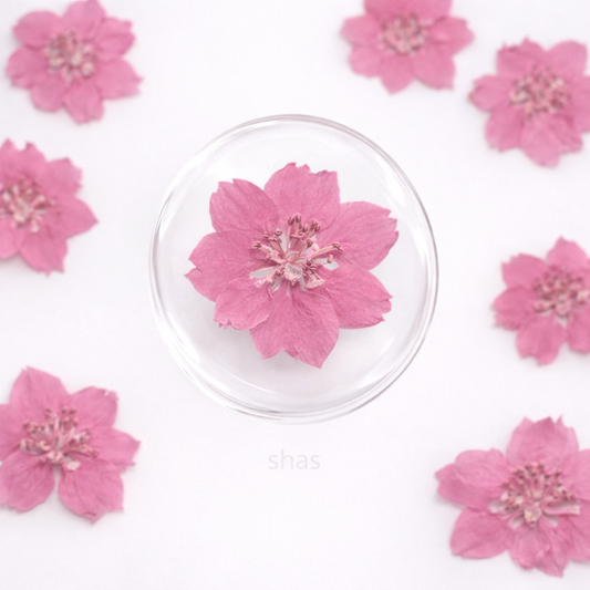 DF 21 Light Pink Houndstooth Pressed Dried Flower ( 1 pc ) plain dried flower for Resin Art