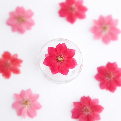 DF 08 Bright Pink Houndstooth Pressed Dried Flower ( 1 pc ) Plain dried flower for Resin Art