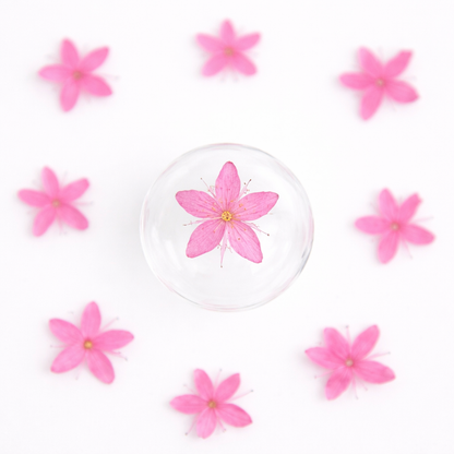 DF 61 Bright Pink White Sandalwood Small Pressed Dried Flower ( 1 pc ) Plain dried flower for Resin Art (Copy)