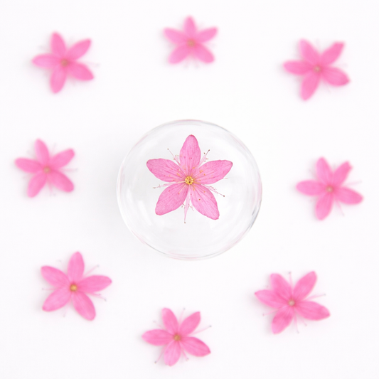 DF 61 Bright Pink White Sandalwood Small Pressed Dried Flower ( 1 pc ) Plain dried flower for Resin Art (Copy)