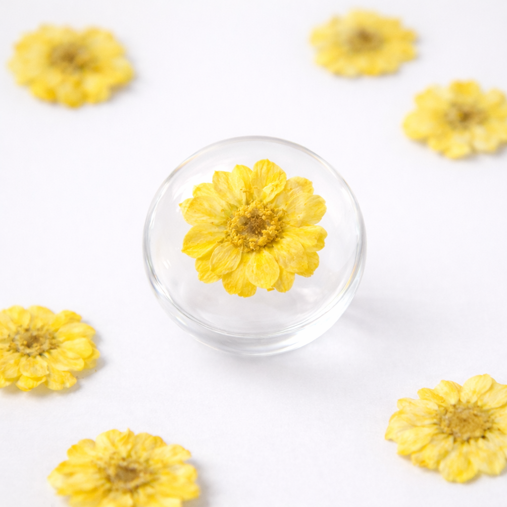 DF 32 Yellow Double Flowered Chamomile Pressed Dried Flower ( 1 pc ) plain dried flower for Resin Art