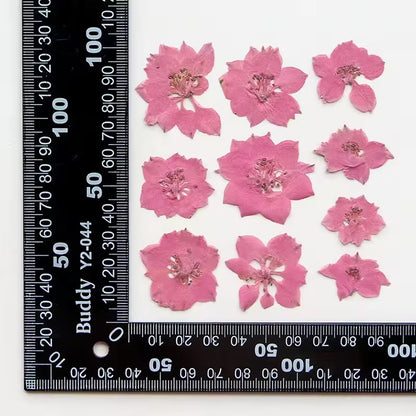 DF 21 Light Pink Houndstooth Pressed Dried Flower ( 1 pc ) plain dried flower for Resin Art