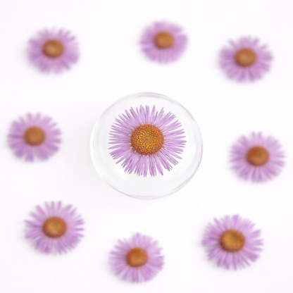 DF 62 Light Purple Daisy Small Pressed Dried Flower ( 1 pc ) plain dried flower for Resin Art