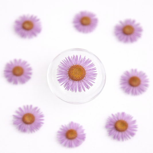 DF 62 Light Purple Daisy Small Pressed Dried Flower ( 1 pc ) plain dried flower for Resin Art