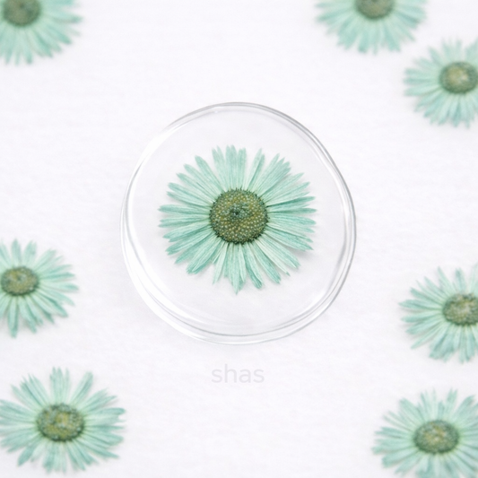 DF 19 Green Daisy Small Pressed Dried Flower ( 1 pc ) plain dried flower for Resin Art
