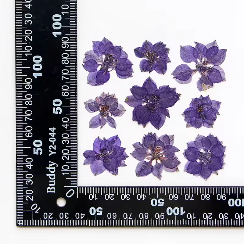 DF 39 Purple Houndstooth Pressed Dried Flower ( 1 pc ) plain dried flower for Resin Art