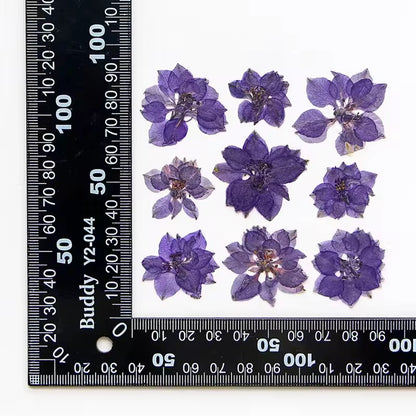 DF 39 Purple Houndstooth Pressed Dried Flower ( 1 pc ) plain dried flower for Resin Art