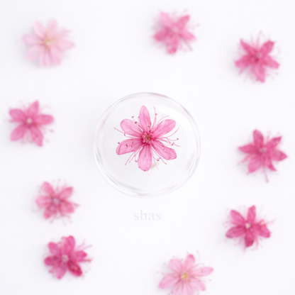 DF 06 Bright Pink White Sandalwood Small Pressed Dried Flower ( 1 pc ) Plain dried flower for Resin Art