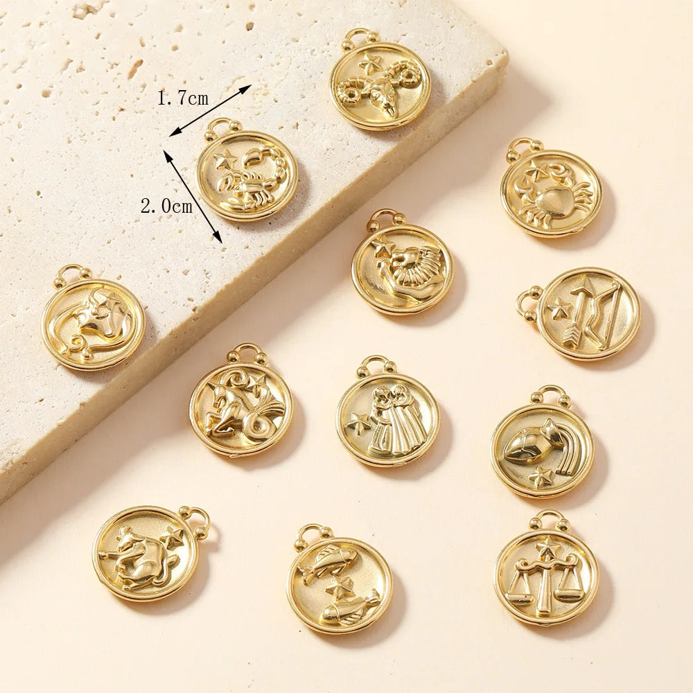 SS 1887 Aquarius zodiac sign Stainless steel charm( 1 pc ) Anti tarnish