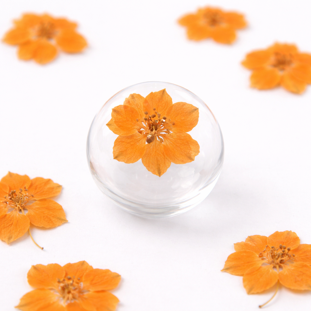 DF 36 Orange Houndstooth Pressed Dried Flower ( 1 pc ) plain dried flower for Resin Art