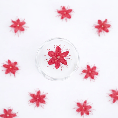 DF 52 Red White Sandalwood Small Pressed Dried Flower ( 1 pc ) Plain dried flower for Resin Art