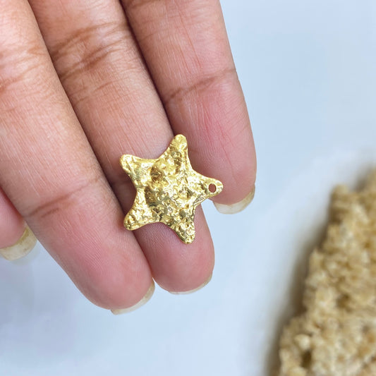 SS 113 Hammered star charm