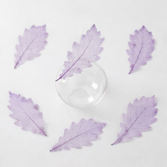 DF 30 Purple Autumn Pressed Dried Leaf ( 1 pc ) Plain dried flower for Resin Art