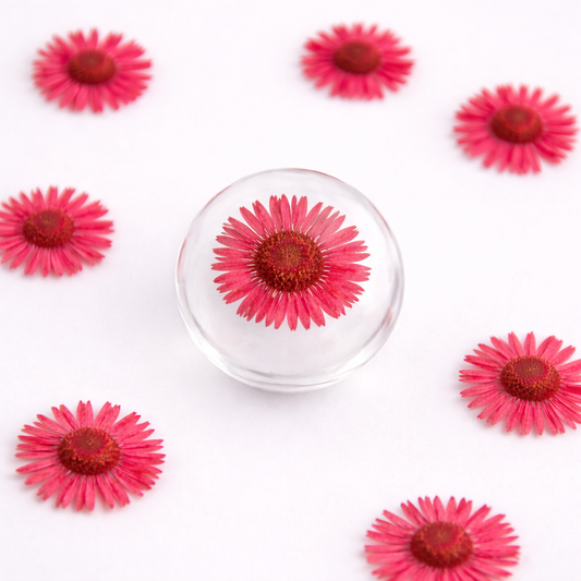DF 34 Red Daisy Small Pressed Dried Flower ( 1 pc ) plain dried flower for Resin Art