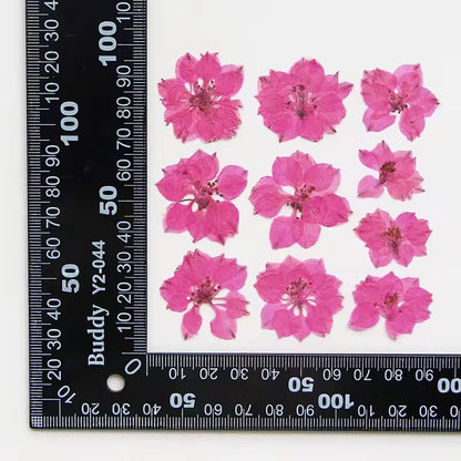 DF 08 Bright Pink Houndstooth Pressed Dried Flower ( 1 pc ) Plain dried flower for Resin Art