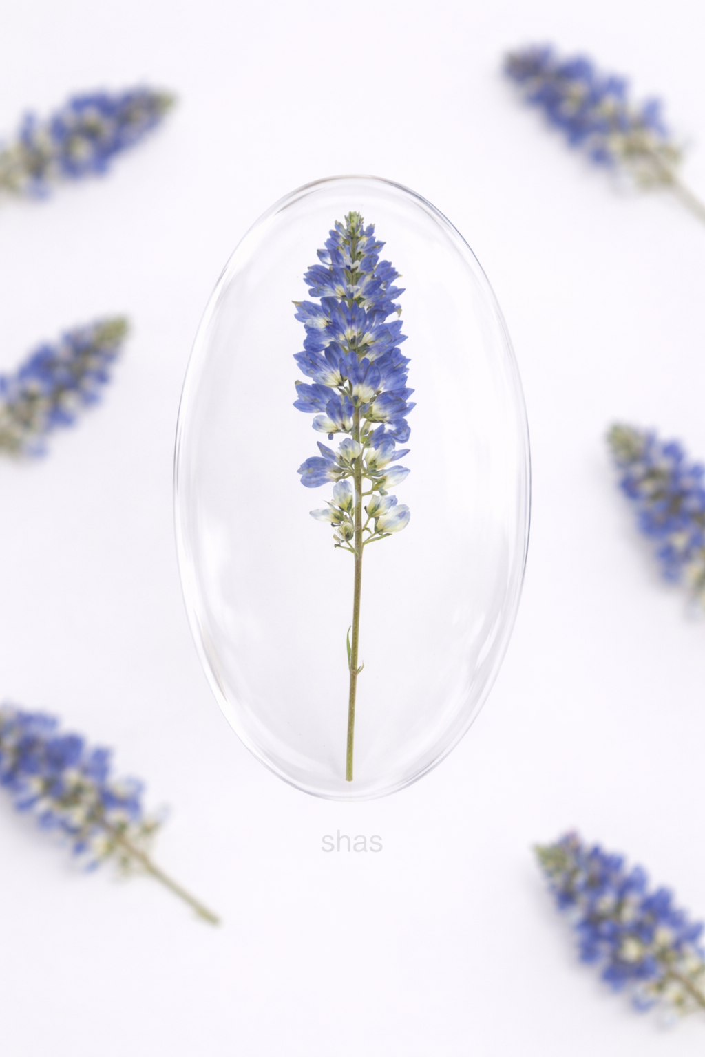 DF 14 Sage Pressed Dried Flower ( 1 pc ) Plain dried flower for Resin Art