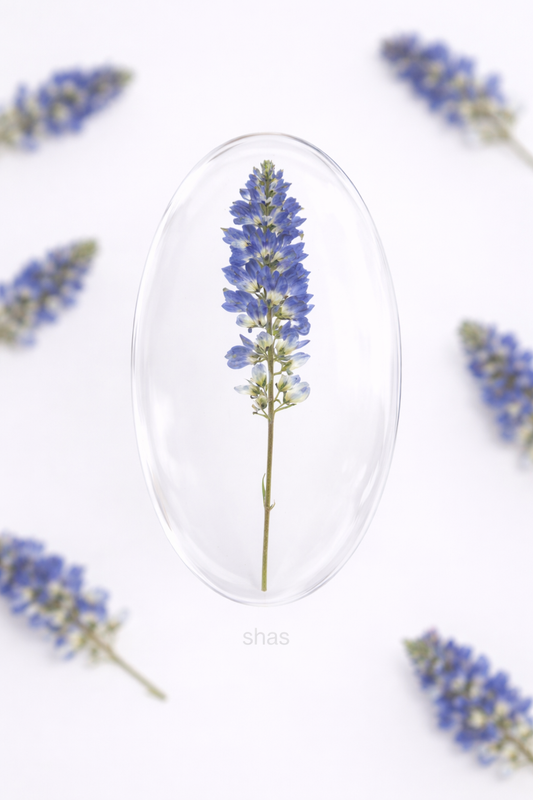 DF 14 Sage Pressed Dried Flower ( 1 pc ) Plain dried flower for Resin Art