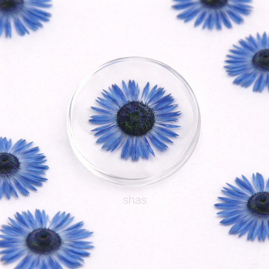 DF 18 Blue Daisy Small Pressed Dried Flower ( 1 pc ) plain dried flower for Resin Art