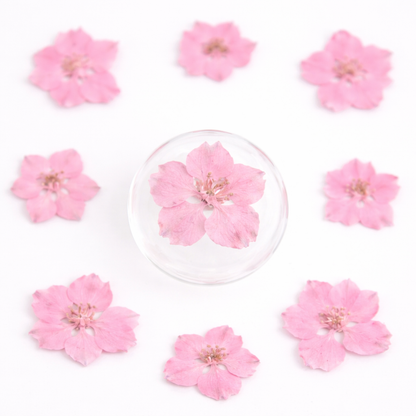 DF 60 Baby Pink Houndstooth Pressed Dried Flower ( 1 pc ) plain dried flower for Resin Art