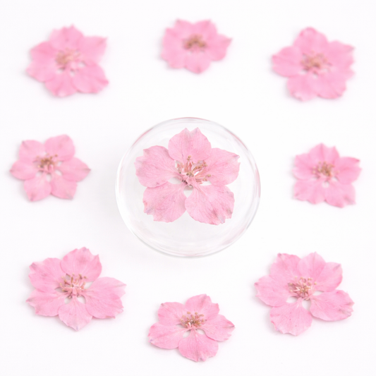 DF 60 Baby Pink Houndstooth Pressed Dried Flower ( 1 pc ) plain dried flower for Resin Art