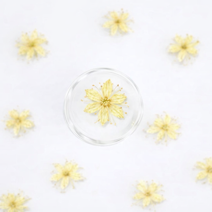 DF 51 White Sandalwood Small Pressed Dried Flower ( 1 pc ) Plain dried flower for Resin Art