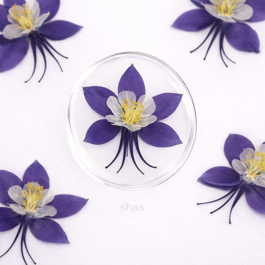 DF 25 Purple Columbine Pressed Dried Flower ( 1 pc ) plain dried flower for Resin Art