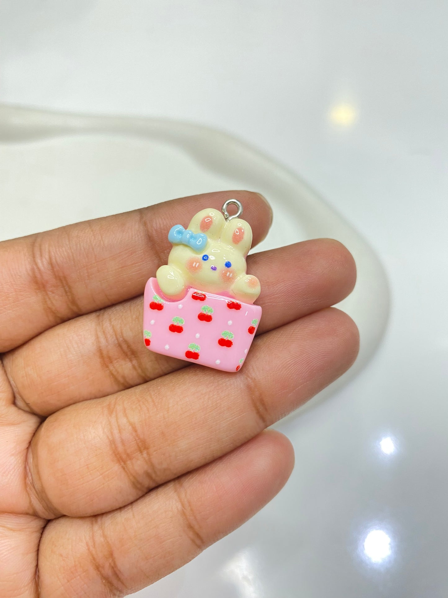 BRC 013 (A) Cute Animal box resin charm with hook ( 1 pc )