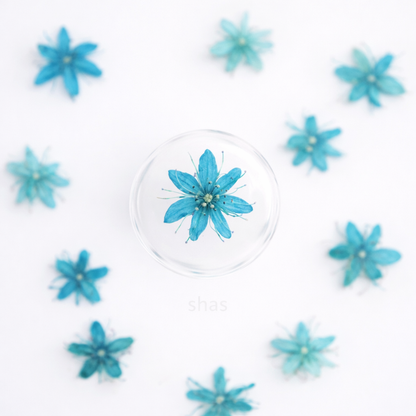 DF 03 Teal Blue White Sandalwood Small Pressed Dried Flower ( 1 pc ) Plain dried flower for Resin Art