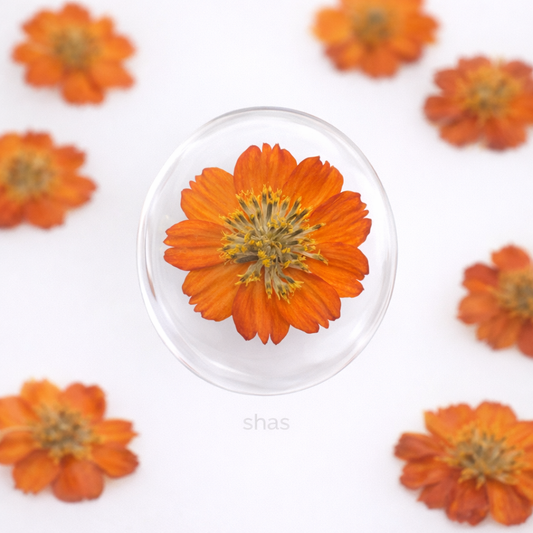 DF 16 Orange Chrysanthemum Pressed Dried Flower ( 1 pc ) Plain dried flower for Resin Art