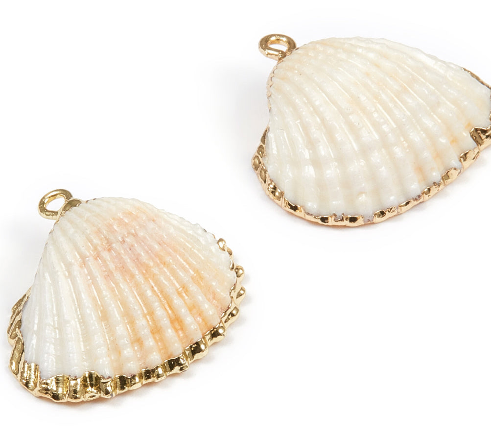 S 1766 white shell gold plated ( 1 pc ) natural shells – Shas